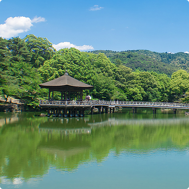 ナノマイズシステムの活用シーン | 公園池